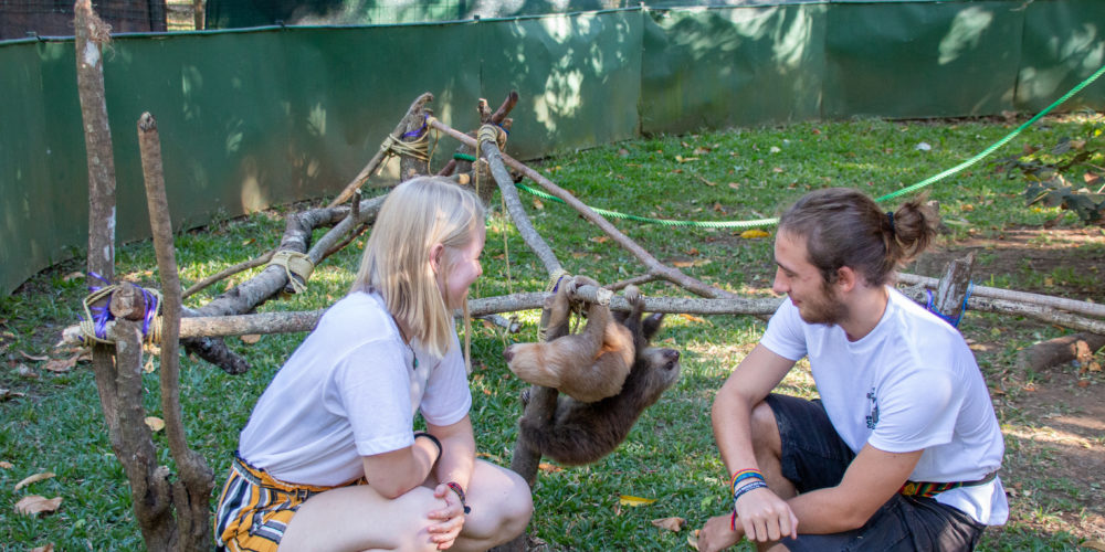 Turrucares Animal Rescue Center FAZ-0233