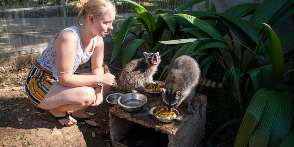Turrucares Animal Rescue Center FAZ-0368